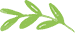 About 24 logo leaf new